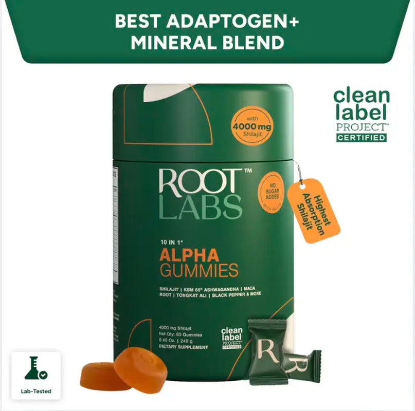 Supplement Stack: Shilajit + Moringa + Turmeric (Save 23%)